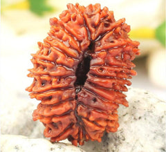 21 Faced Natural Nepali Rudraksha Beads