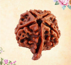 Ganesh Rudraksha