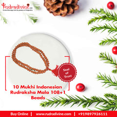 10 Mukhi Indonesian Rudraksha Mala