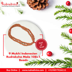 9 Mukhi Indonesian Rudraksha Mala