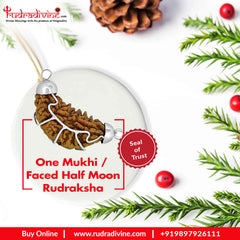 One Mukhi / Faced Half Moon Rudraksha / 1 mukhi caping