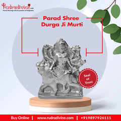 Parad Shree Durga Ji Murti