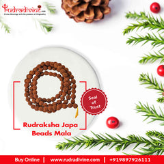 Rudraksha Japa Beads Mala