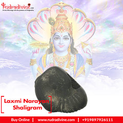 Laxmi Narayan Shaligram