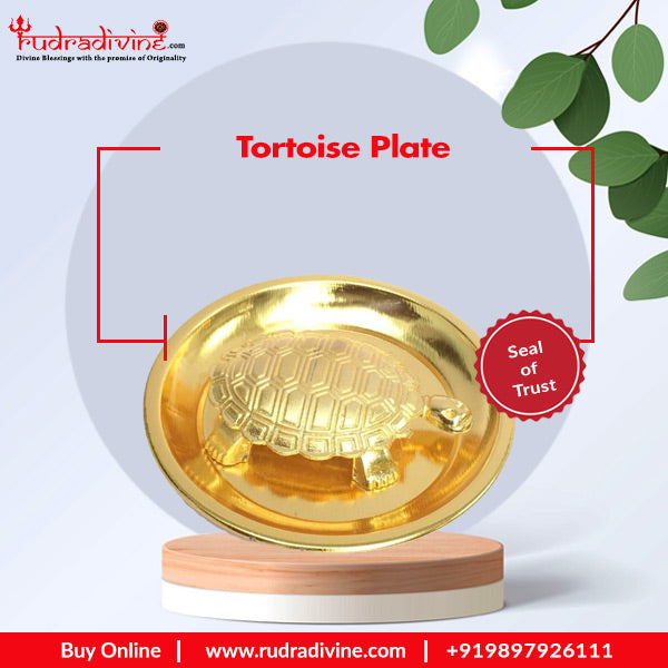 Tortoise Plate